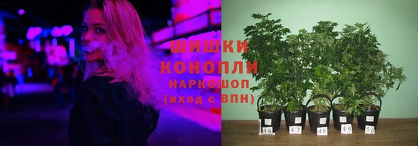 apvp Нефтегорск