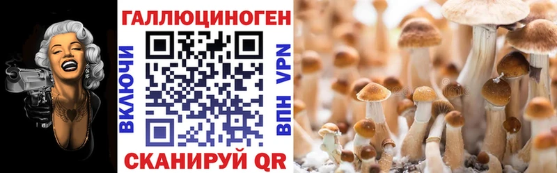 Псилоцибиновые грибы мицелий  купить   Новоуральск 