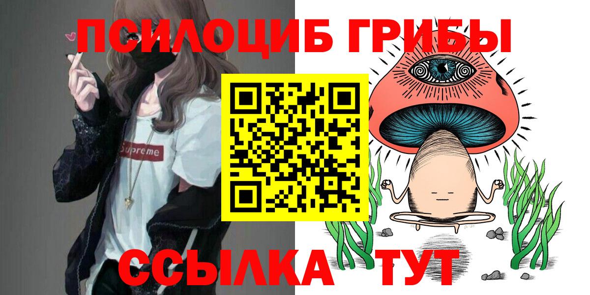 Галлюциногенные грибы Psilocybe Новоуральск