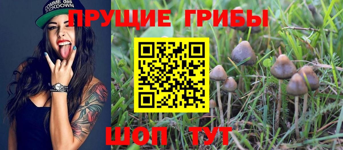 Псилоцибиновые грибы мухоморы  Вход с VPN  Новоуральск  Псилоцибиновые грибы мицелий 