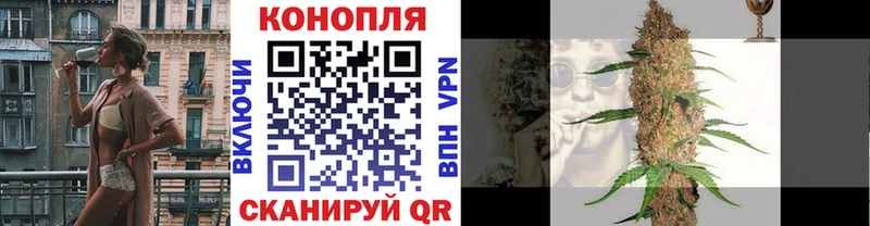 Бошки марихуана сатива  купить закладку  Новоуральск 